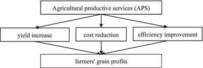 The sustainability of grain production: the impact of agricultural productive services on farmers’ grain profits